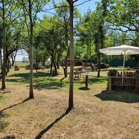 Homestay Und Steirerengel - Ferien & Jagd
