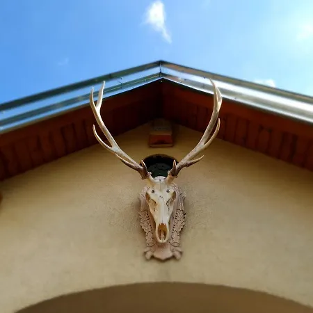 Und Steirerengel - Ferien & Jagd