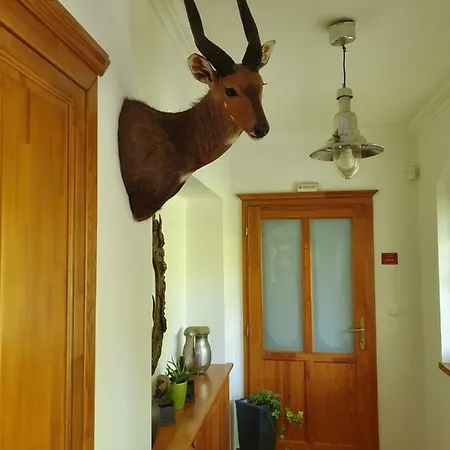 Und Steirerengel - Ferien & Jagd Homestay *