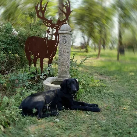 Und Steirerengel - Ferien & Jagd Homestay *