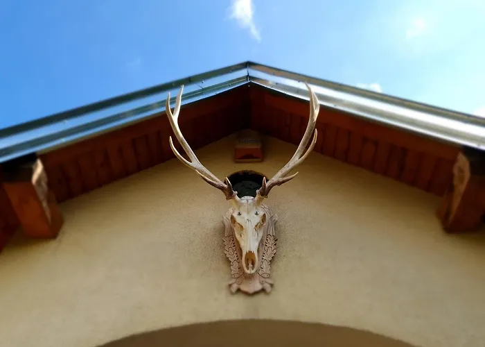 Und Steirerengel - Ferien & Jagd