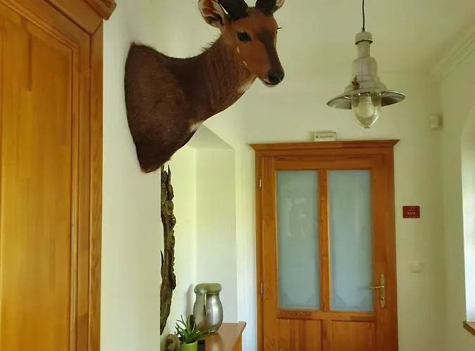 Und Steirerengel - Ferien & Jagd Privat bolig *