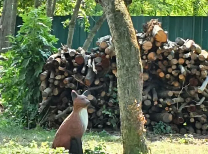 Privat bolig Und Steirerengel - Ferien & Jagd