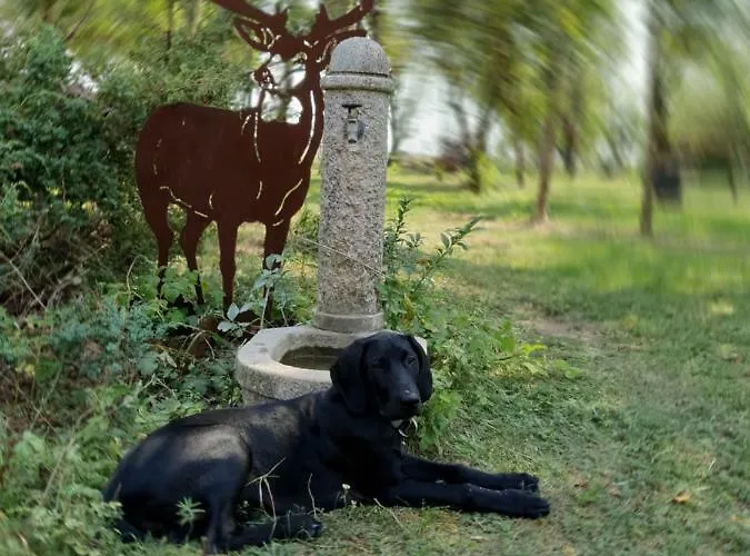 Und Steirerengel - Ferien & Jagd Privat bolig *